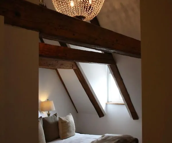 L'ostello Altstadthotel فندق 3*